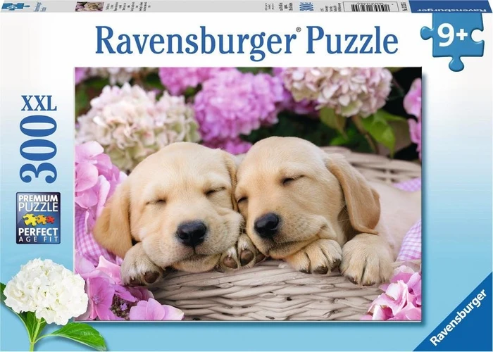 Ravensburger Puzzle Süße Hunde im Körbchen