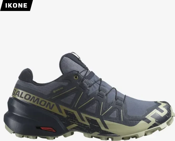 Salomon Speedcross 6 GTX grisaille/carbon/tea (Herren)