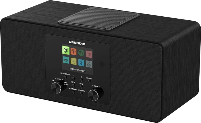 Grundig DTR 6100 schwarz