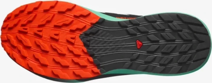 Salomon Sense Ride 5 black/bay/cherry tomato (Herren)