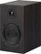 Pro-Ject Speaker Box 5 S2 eukalyptus, Stück Vorschaubild