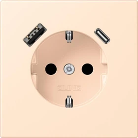 Jung Serie LS SCHUKO-Steckdose mit USB-Ladegerät Safety+, terre sienne pâle