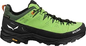 Salewa Alp Trainer 2 GTX pale frog/black (Herren)