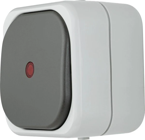 REV Ritter AquaTop Kontroll-Wechselschalter AP IP 44, grau