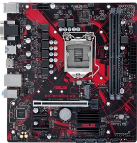ASUS Expedition EX-B460M-V5 (Intel 1200)