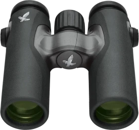 Swarovski CL Companion 10x30 B anthrazit Northern Lights