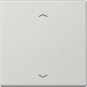 Jung Serie LS LB-Management Taster 1fach Duroplast mit Pfeilsymbol, lichtgrau