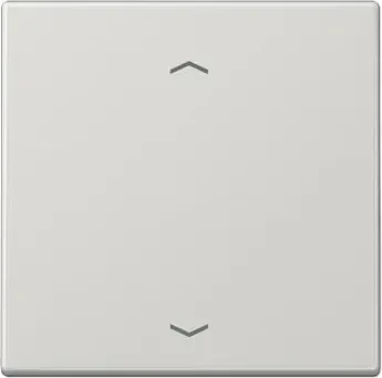 Jung Serie LS LB-Management Taster 1fach Duroplast mit Pfeilsymbol, lichtgrau