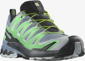 Salomon XA Pro 3D V9 GTX flint stone/green gecko/black (Herren)