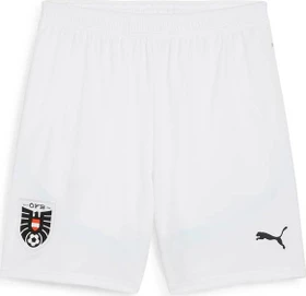 Puma UEFA EURO 2024 Österreich Replica Shorts Hose (Herren)