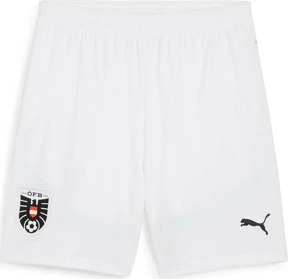 Puma UEFA EURO 2024 Österreich Shorts (Herren)