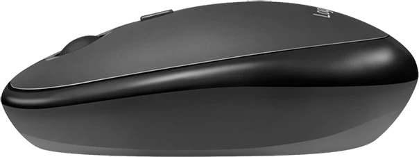 LogiLink Wireless & Bluetooth Dual Mouse schwarz, USB/Bluetooth