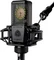 Lewitt LCT 440 Pure Stereo-Paar Vorschaubild