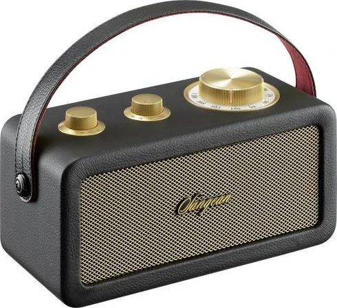 Sangean RA-101 schwarz/gold