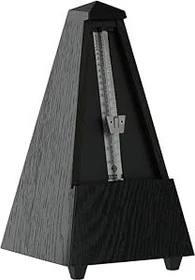 Wittner 819