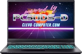 Clevo PC50DS, Core i7-10870H, 32GB RAM, 512GB SSD, GeForce RTX 3080, DE (SW15333)