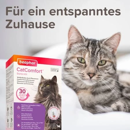 beaphar CatComfort Starter-Kit, Pheromon, Verdampfer, Bundle (17149) – Bild 3 von 5
