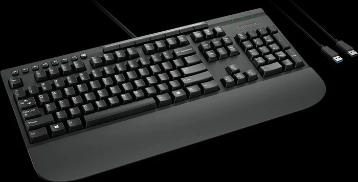 Lenovo Enhanced Performance Keyboard Gen II, USB, DE