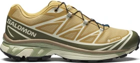Salomon XT-6 GTX antelope/icicle/portabella