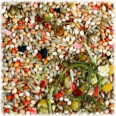 JR Farm Premium Wellensittich 1kg – Bild 2 von 2