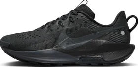 Nike Pegasus Trail 5 black/velvet brown/anthracite (Herren)