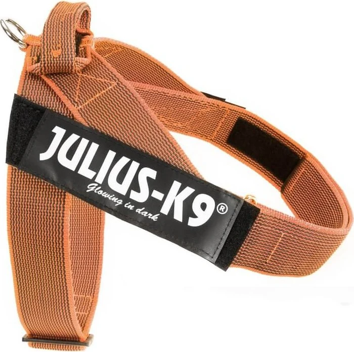 Julius K9 IDC Color & Gray Beltgeschirr XL, orange