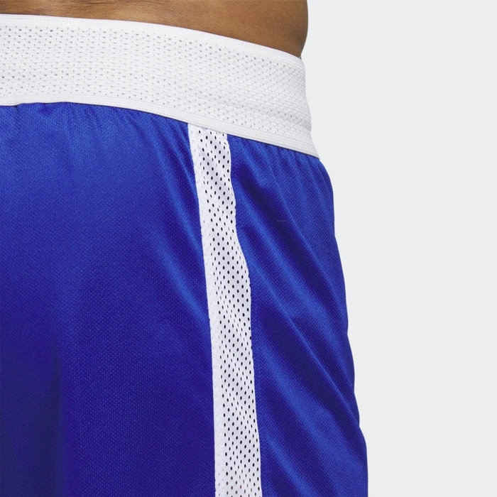adidas Icon Squad Shorts royal blue/white (Herren)