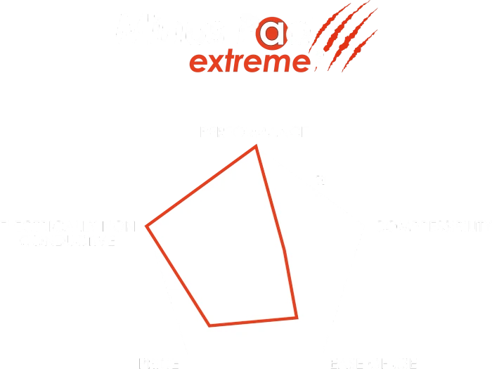 Thermal Grizzly Minus Pad Extreme 2, 100x100x2mm