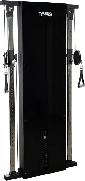 Taurus Taurus Design Line Dual Pulley 90kg graphite Kraftstation
