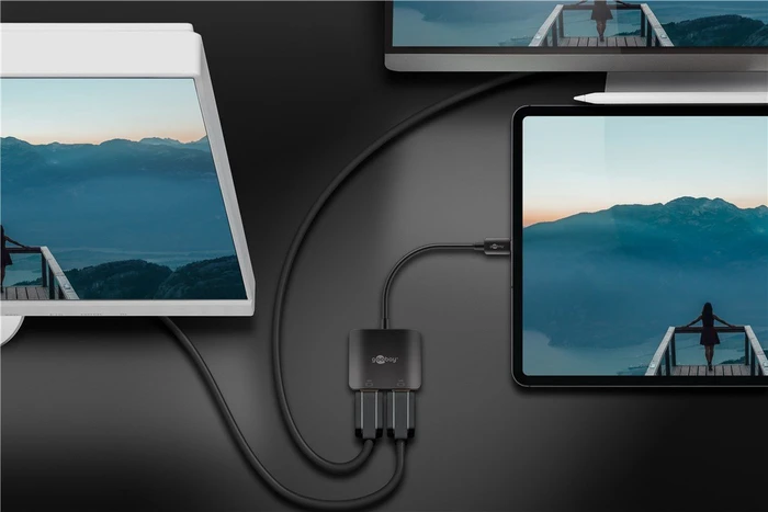 Wentronic Goobay USB-C auf 2x HDMI Adapter