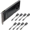 PNY NVS 810 + DisplayPort-Adapter, 2x 2GB DDR3, 8x mDP Vorschaubild