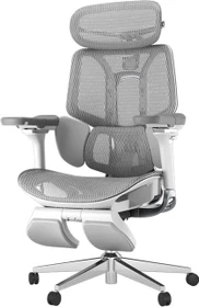 Hbada E3 Pro Ergonomischer Bürostuhl mit Fußstütze, grau/weiß