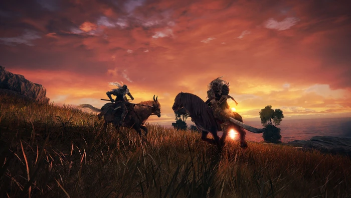 Elden Ring (Download) (PC)