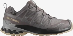 Salomon XA Pro 3D V9 GTX plum kitten/black/gull (Damen)
