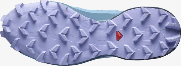 Salomon Speedcross 5 GTX delphinium blue/mallard blue/lavender (Damen)