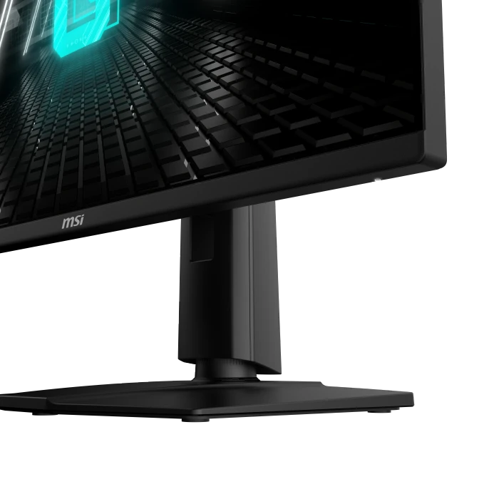 MSI G255PF E2, 24.5"