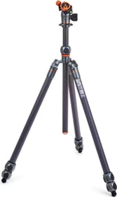 3 Legged Thing Winston 2.0 Carbon Fiber Tripod System & Airhead Pro grau