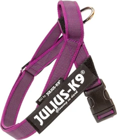 Julius K9 IDC Color & Gray Beltgeschirr XS, Pink