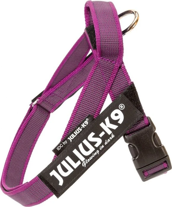 Julius K9 IDC Color & Gray Beltgeschirr XS