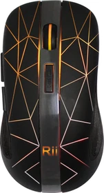 Riitek RM200 Wireless Mouse schwarz, USB (TOMPOL-210114-29)