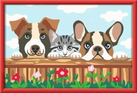 Ravensburger Malen nach Zahlen Hunde und Katze