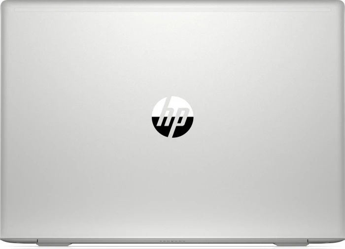 HP ProBook 455 G7, Pike Silver, Ryzen 7 4700U, 16GB RAM, 256GB SSD, 1TB HDD, DE