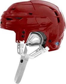 Warrior Covert CF 100 Helm rot