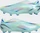 adidas X Speedportal+ FG clear aqua/solar red/power blue (GW8408)
