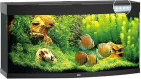 Juwel Vision 260 LED Aquarium-Set, schwarz, 260l