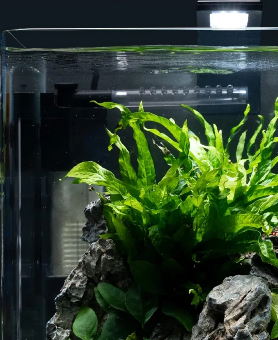Dennerle Nano Corner Filter 40