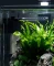 Dennerle Nano Corner Filter 40 Vorschaubild