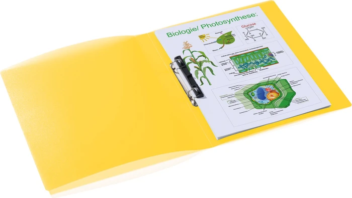 Herma Ringbuch 2-Ring, 25mm, A4, gelb/transparent, 3er-Pack