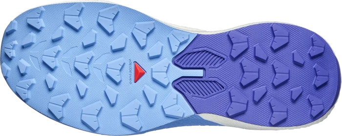 Salomon Pulsar Trail shadow gray/deep blue/butterfly (Damen)