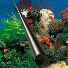 ebi Fotorückwand Stone & Coral, 60x30cm